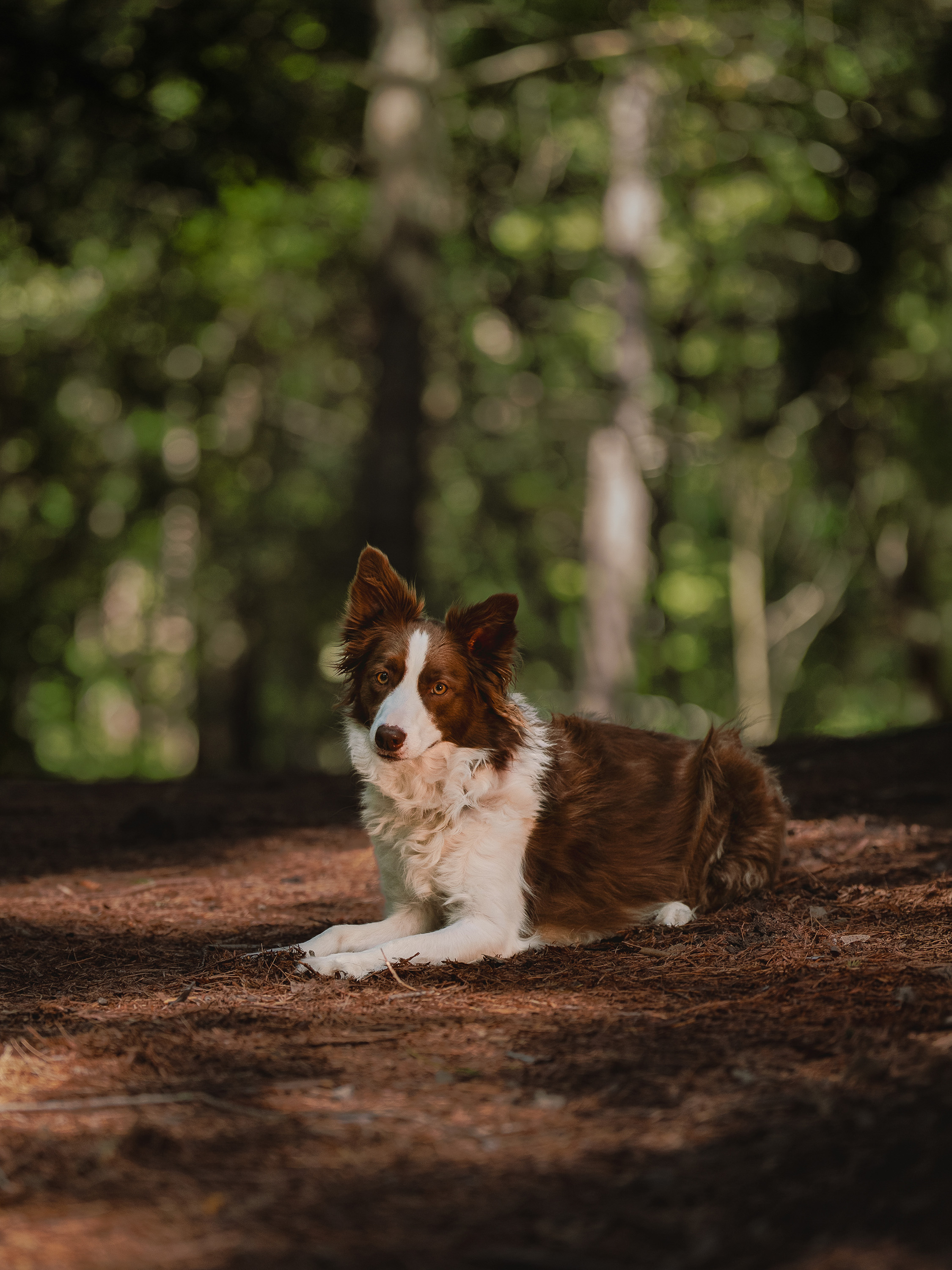 Mindy — Sanborn Trail Outdoor Session