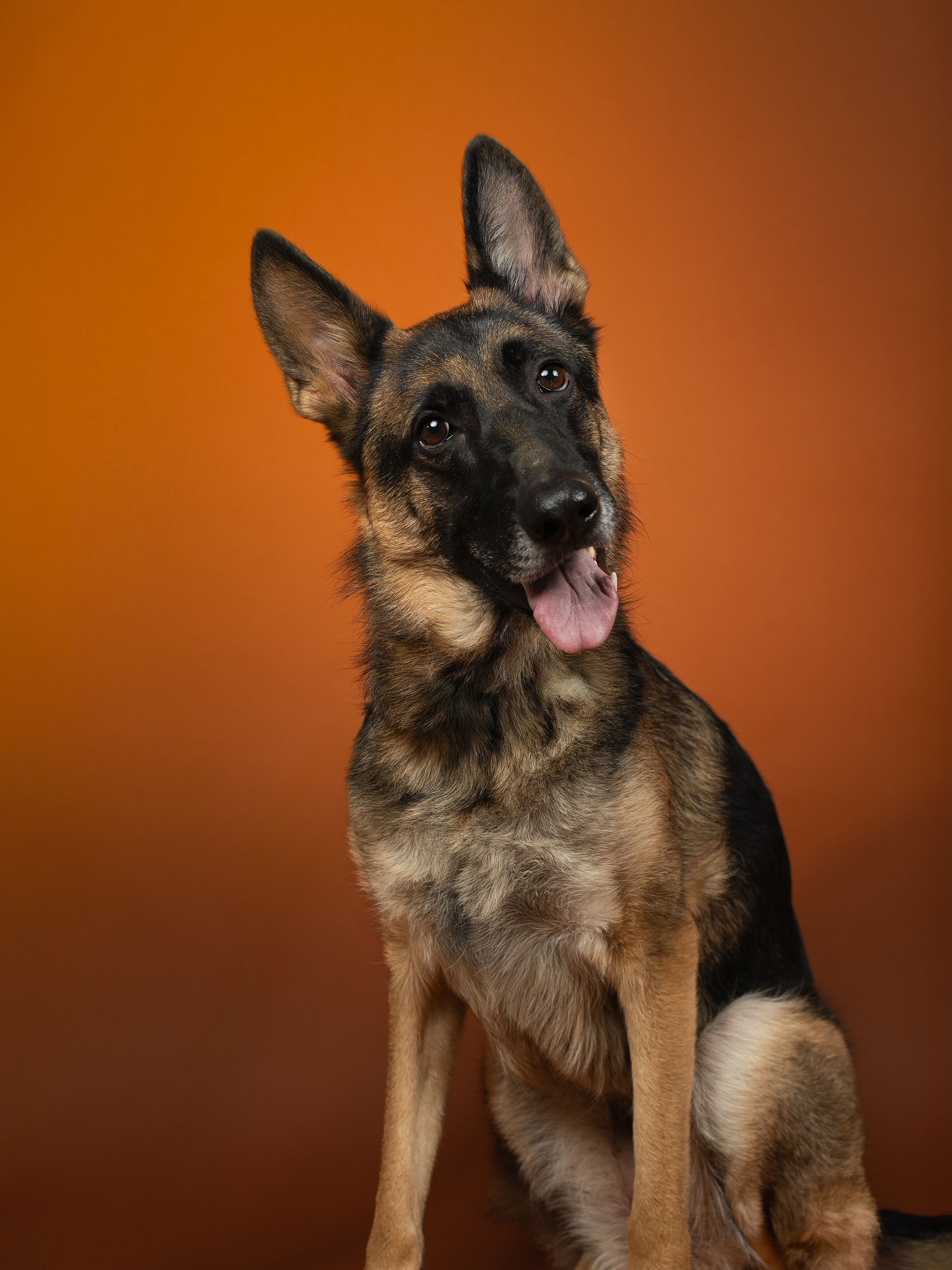 Studio Portrait Session