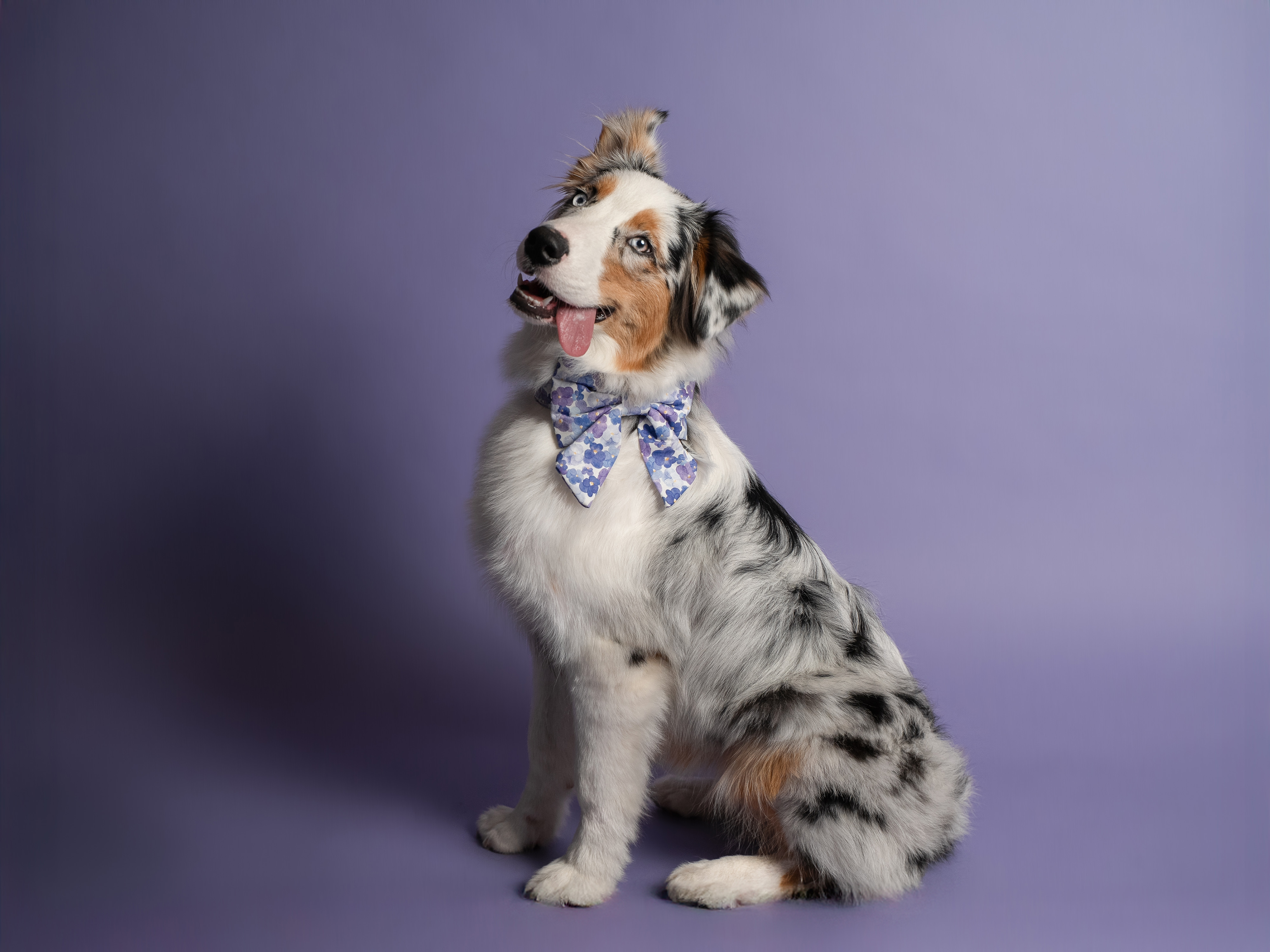 Purple Studio Portrait Session