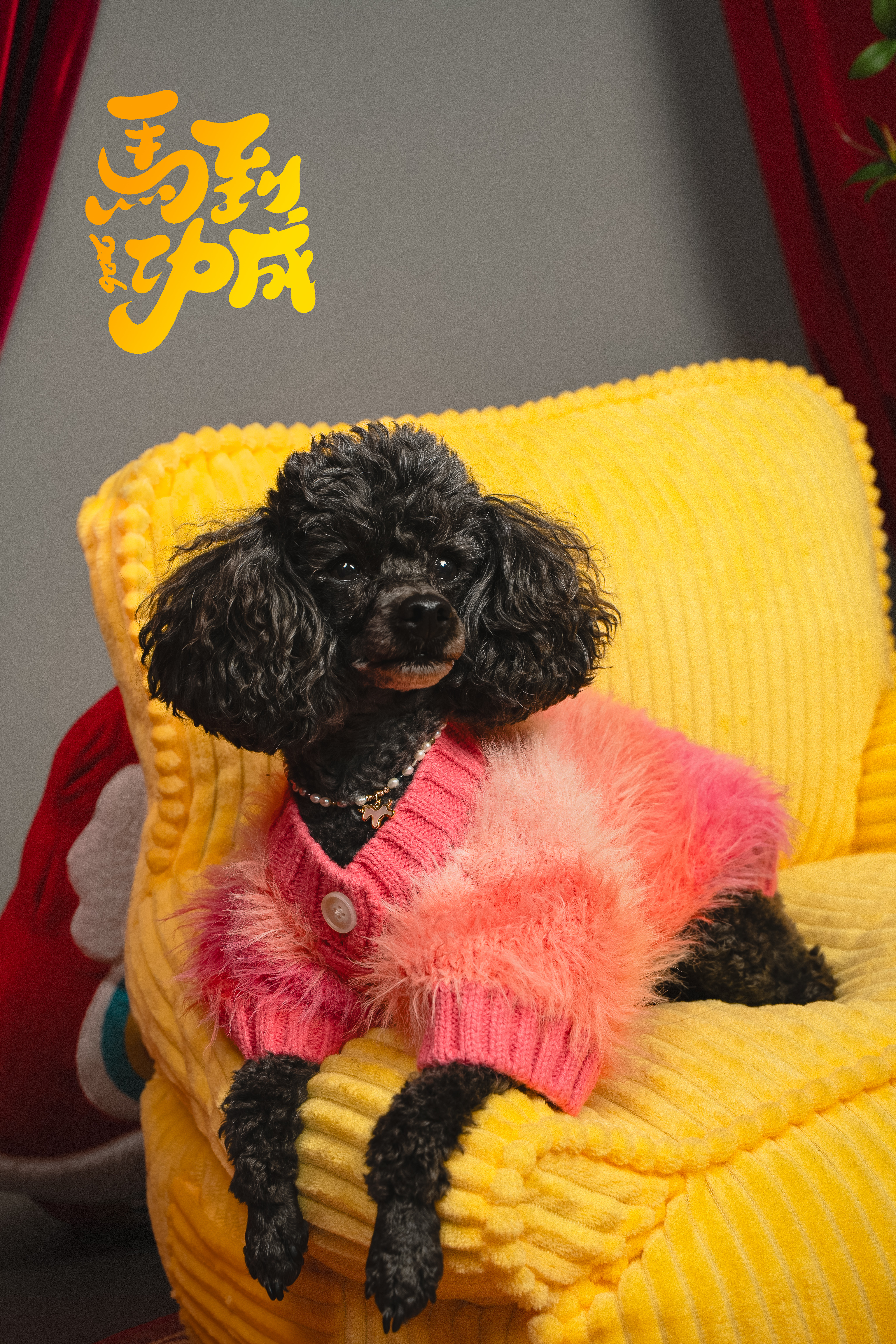 Small dog portrait with bokeh background