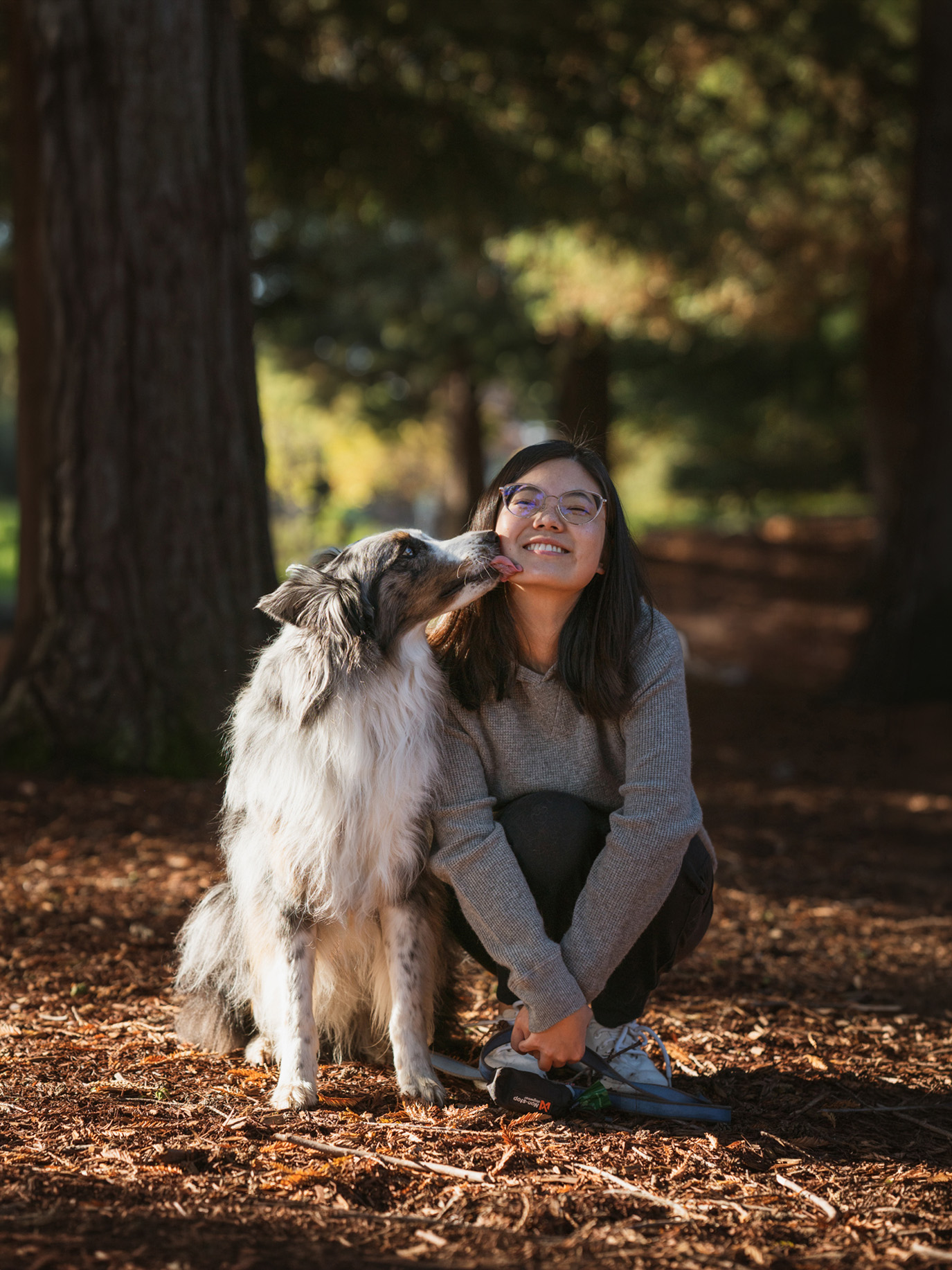 Australian shepherd giving a kiss to smiling woman under park trees in golden light
