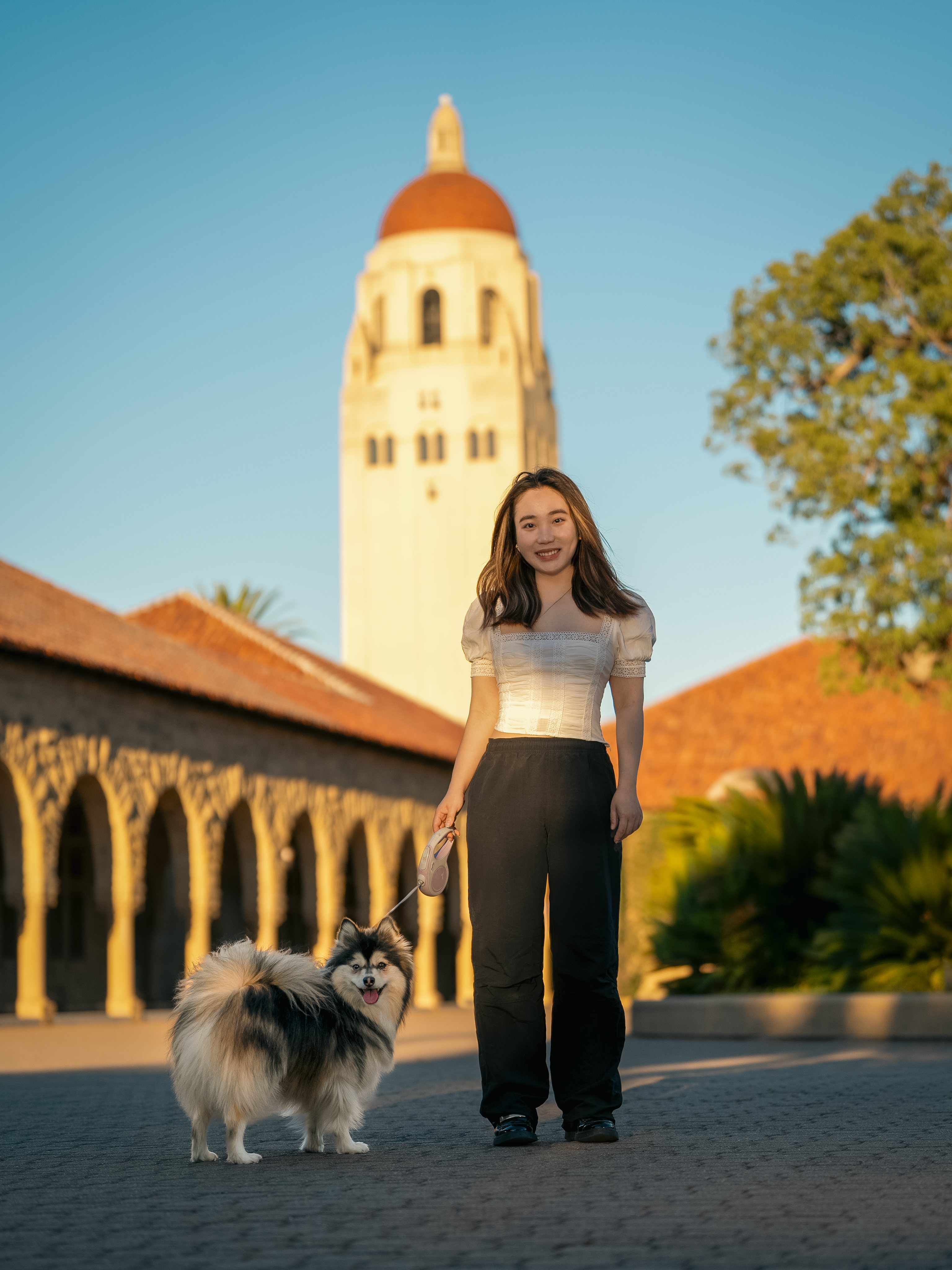 Woman walking her Pomeranian at Stanford University with Hoover Tower in background